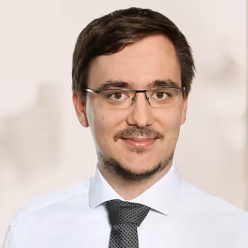 Ruben Schmidt, Portrait