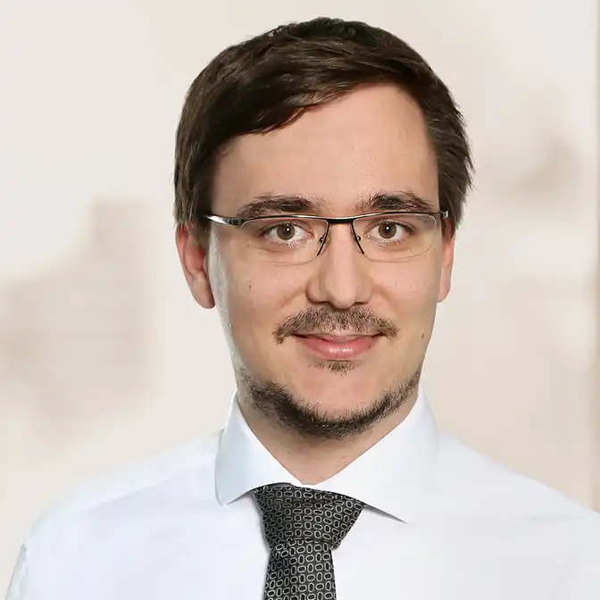 Ruben Schmidt, Portrait