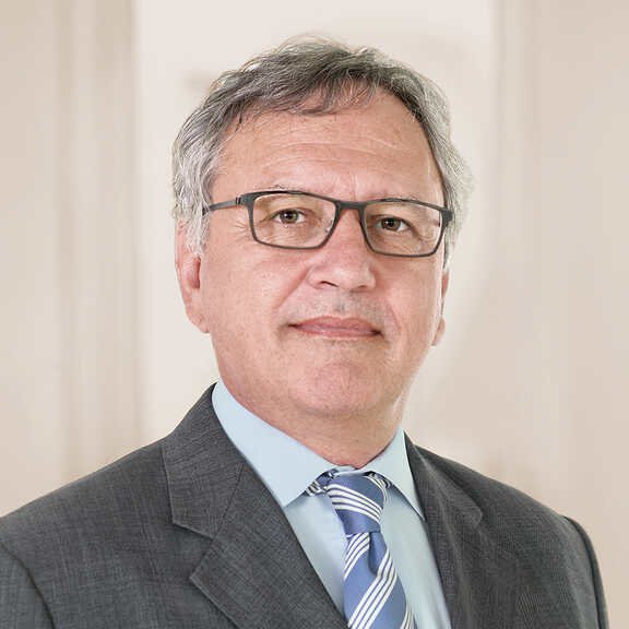 Clemens Scholz-Remes, Portrait