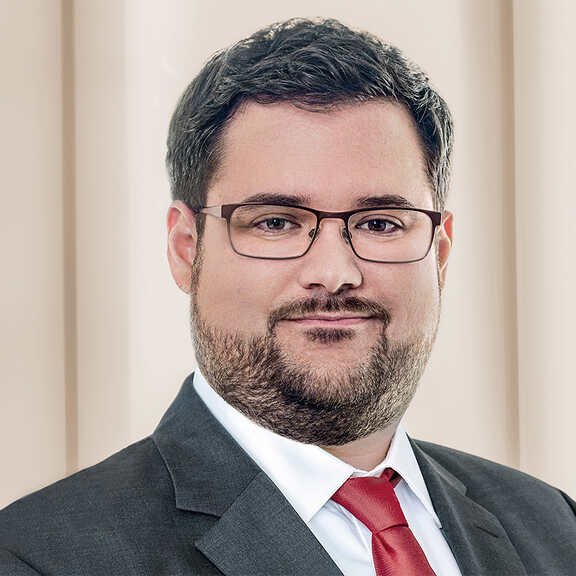 Jannis Sokianos, Portrait