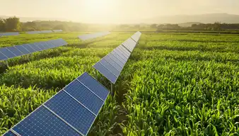 Agri-Photovoltaik Solarpark