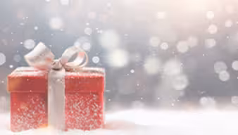 Weihnachtliches Geschenk im Schnee