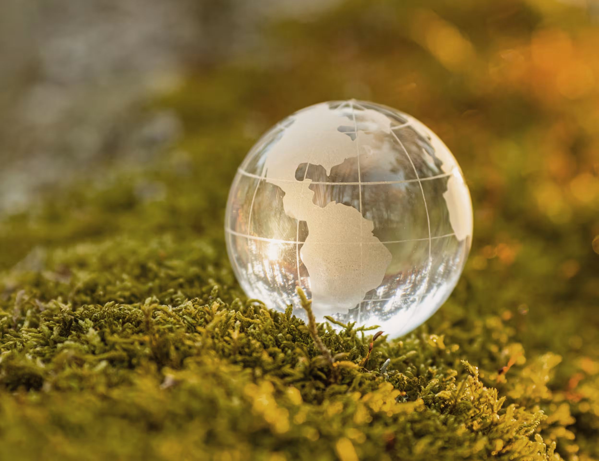 Glasglobus auf Moss gebettet