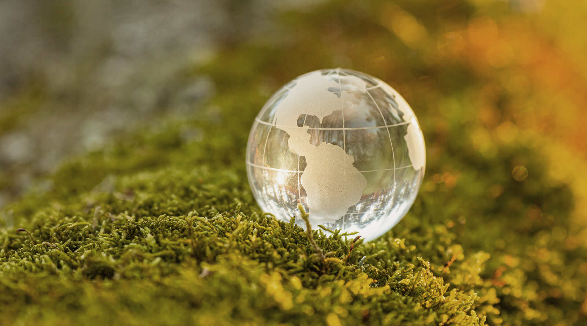 Glasglobus auf Moss gebettet